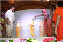 Abhishek (312).jpg